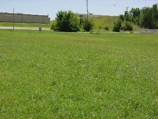 503 Limit Street — photo 2