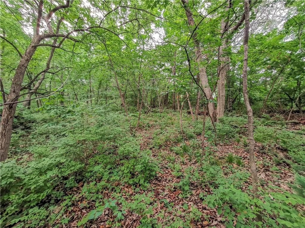 6004 West Shore Court — photo 5