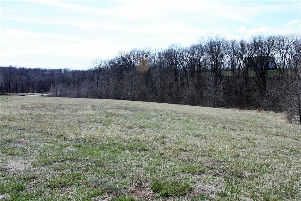 10000 N Cypress  (LT 9) Avenue — photo 4