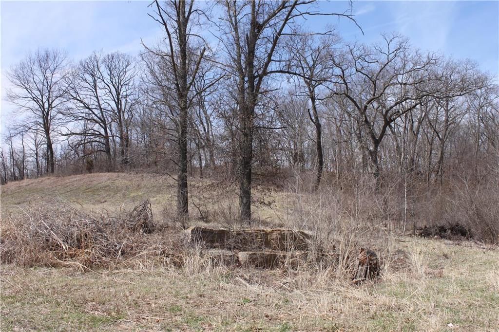 9900 N Cypress (LT 10) Avenue — photo 3