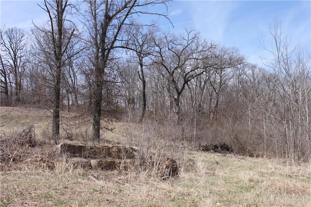 9900 N Cypress (LT 10) Avenue — photo 4