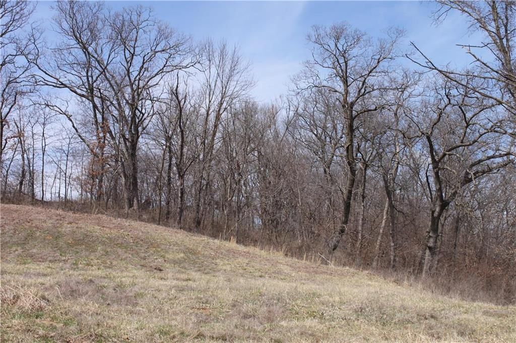 9900 N Cypress (LT 10) Avenue — photo 10