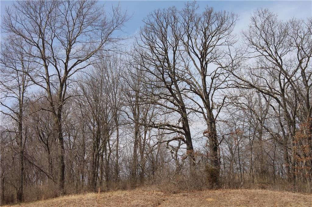 9900 N Cypress (LT 10) Avenue — photo 14