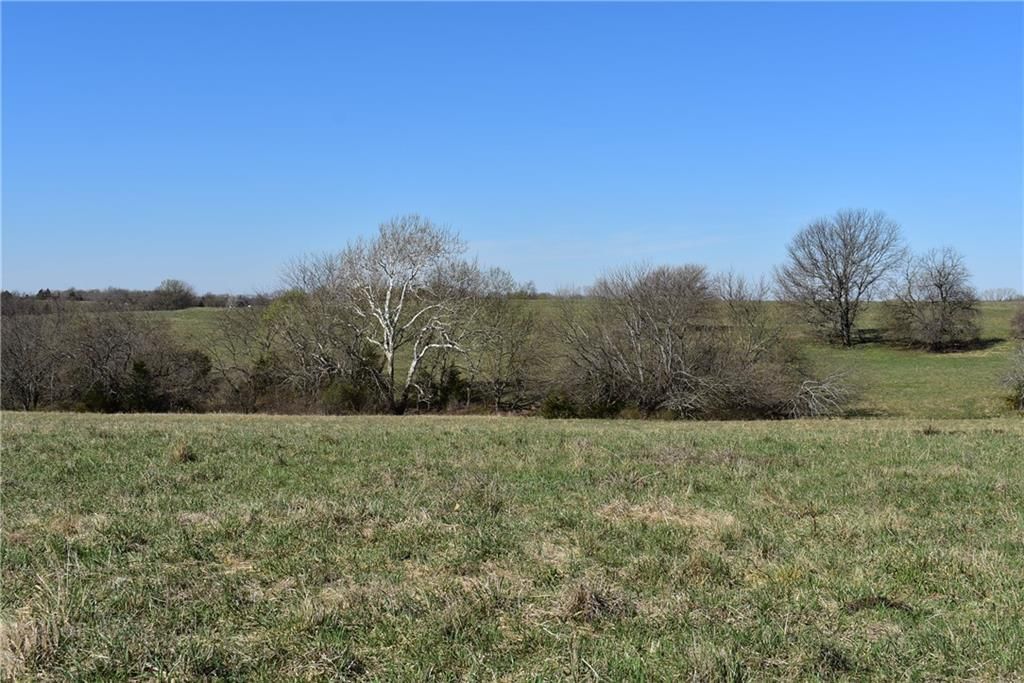 303rd & Bethel Church Road — photo 8