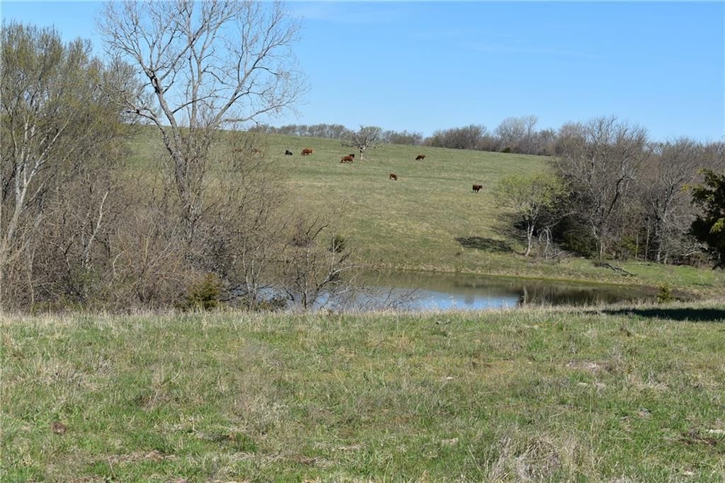 303rd & Bethel Church Road — photo 9