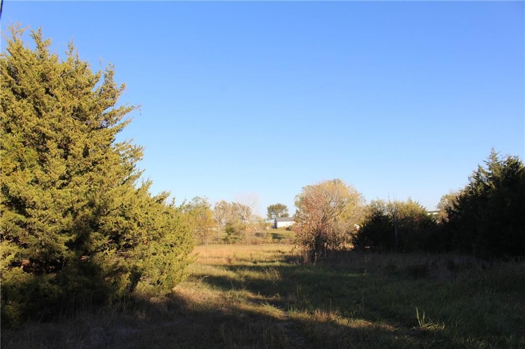 9730 Sunflower Road — photo 42