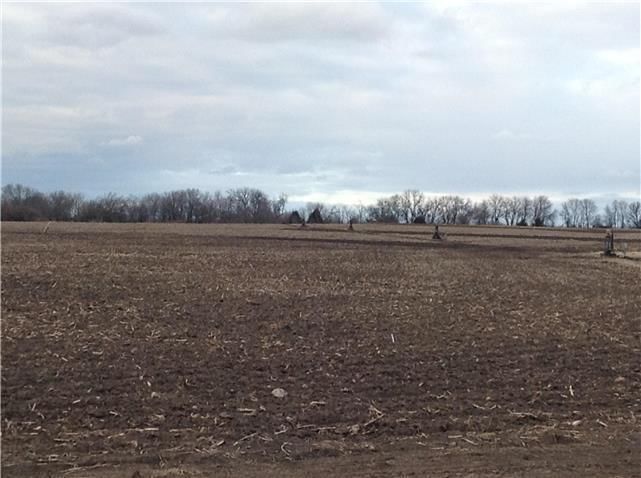 183rd Street, Gardner, KS: listing photo 3