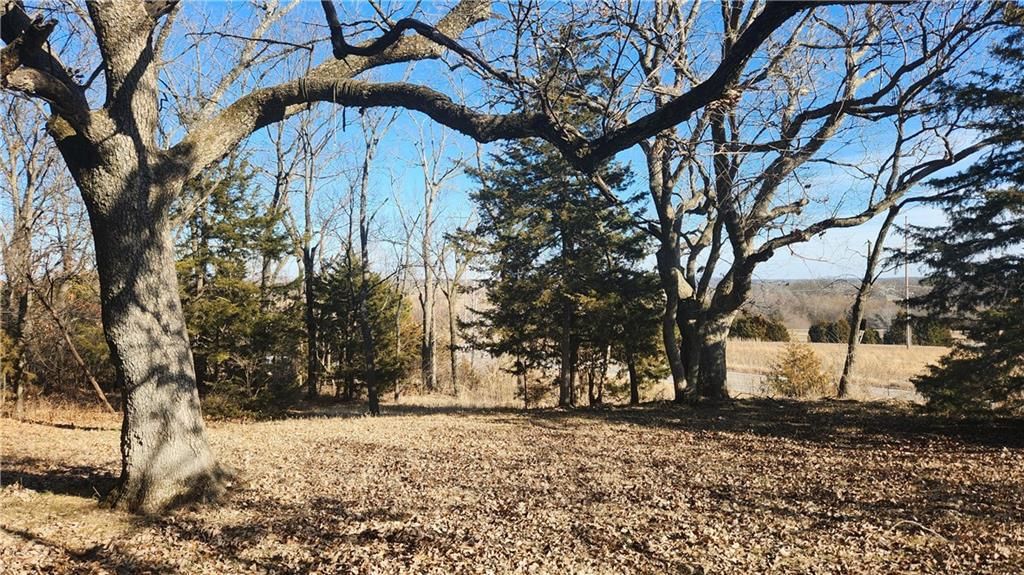 6001 Hedge Lane Terrace — photo 15