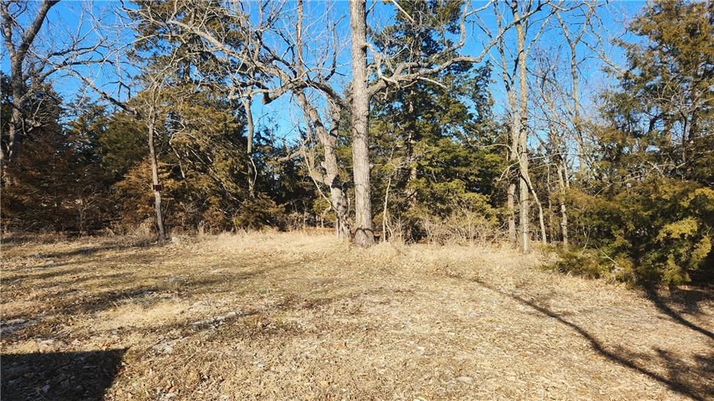 6001 Hedge Lane Terrace — photo 17