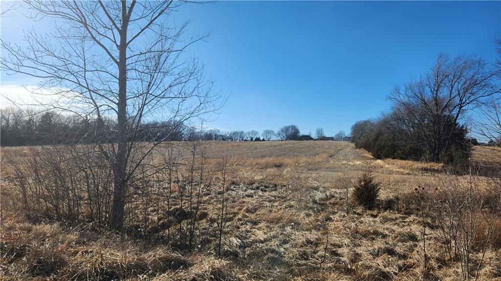 6001 Hedge Lane Terrace — photo 22
