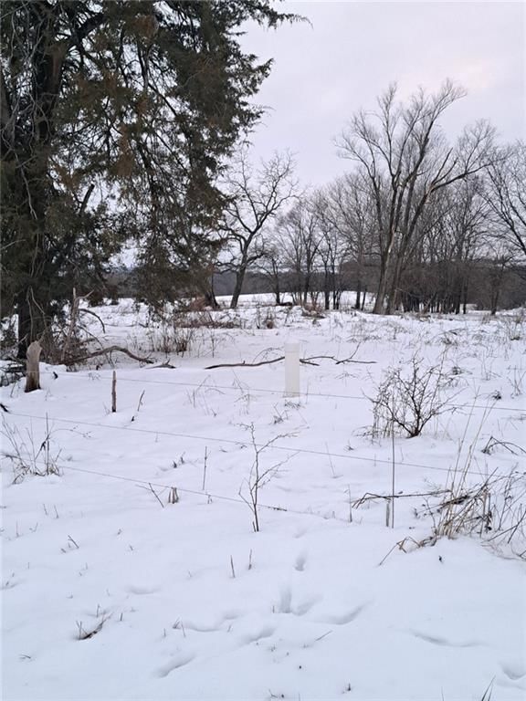 Grant Road — photo 21
