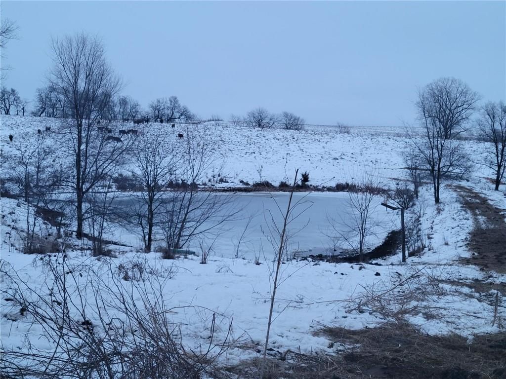 Grant Road — photo 22