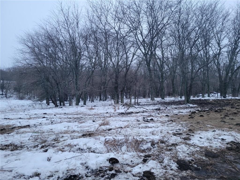 Grant Road — photo 24