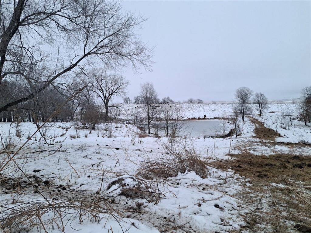 Grant Road — photo 28