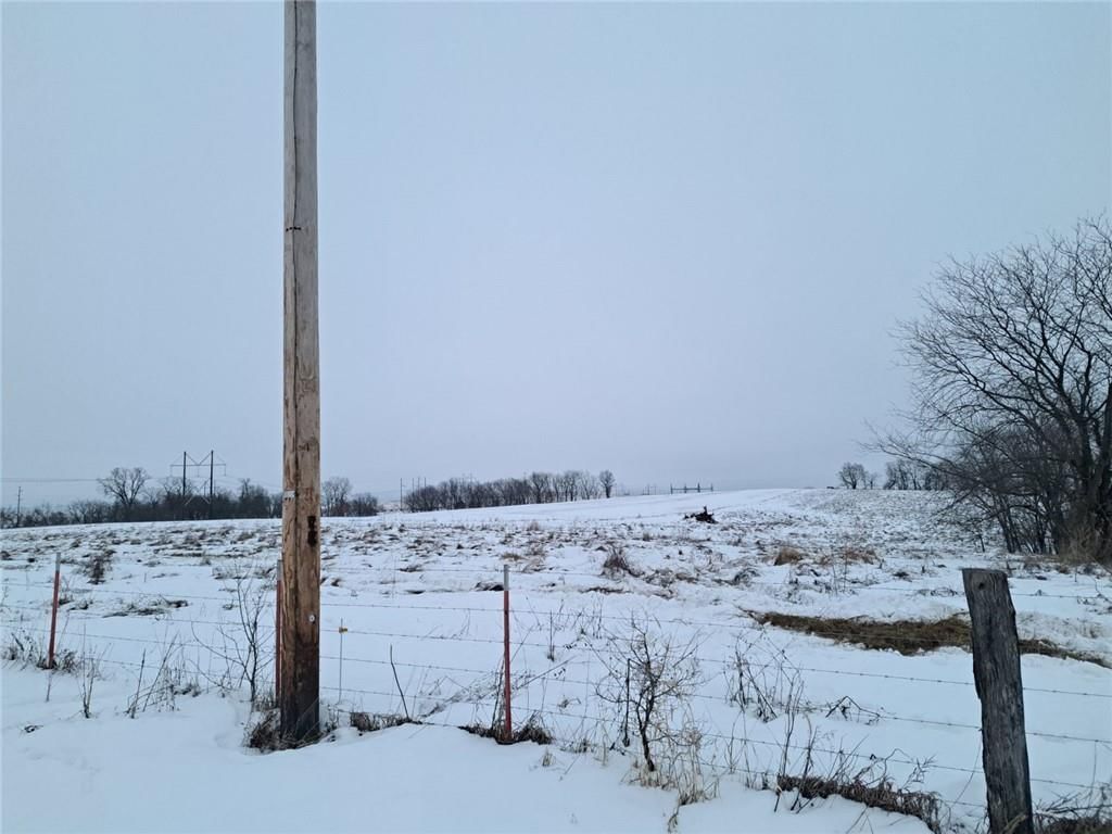 Grant Road — photo 29