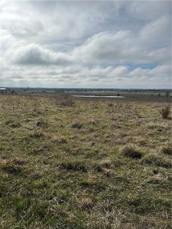 2260 Louisiana Road — photo 4