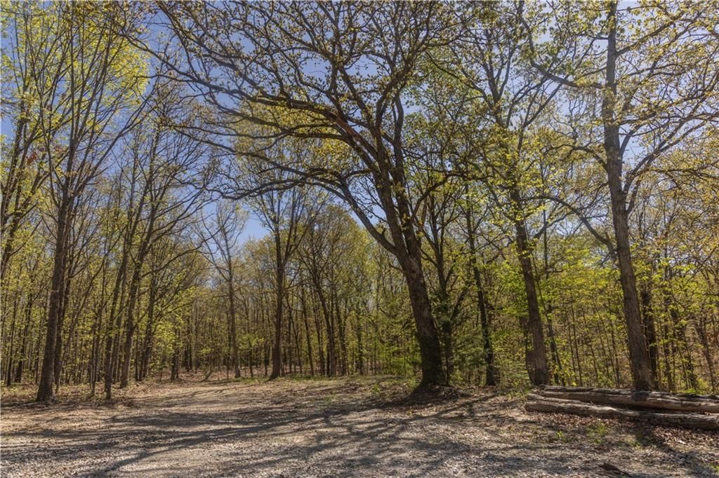 27064 Hickory Tree Lane, Lincoln, MO
