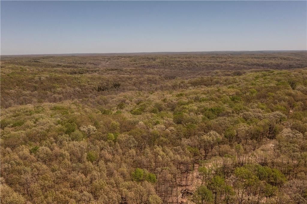 27064 Hickory Tree Lane — photo 3