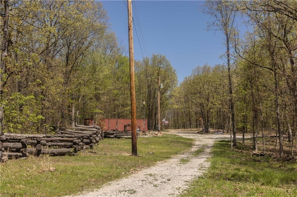 27064 Hickory Tree Lane — photo 15
