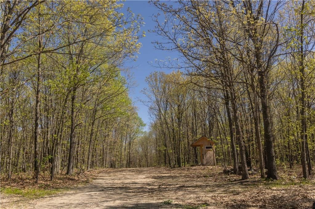 27064 Hickory Tree Lane — photo 26