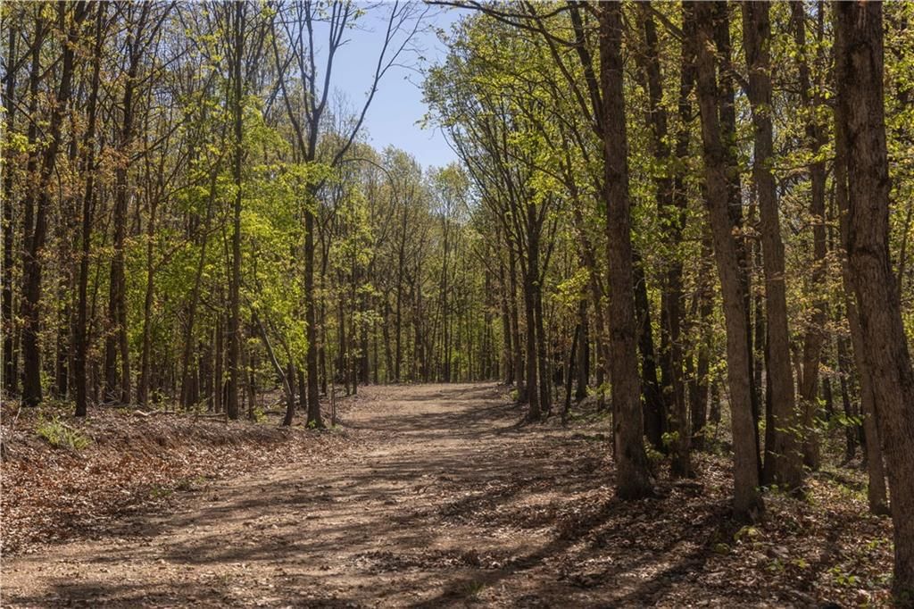 27064 Hickory Tree Lane — photo 27