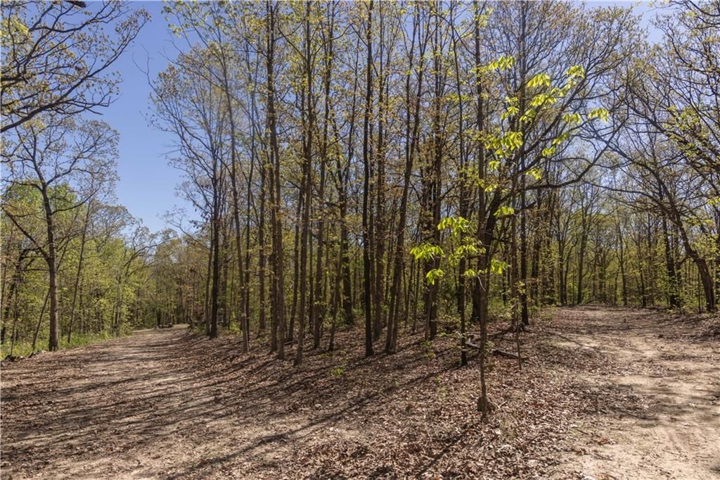 27064 Hickory Tree Lane — photo 28