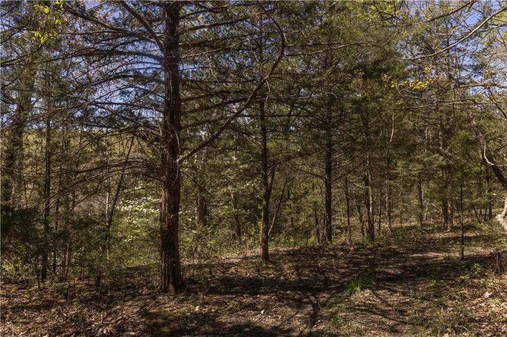 27064 Hickory Tree Lane — photo 29