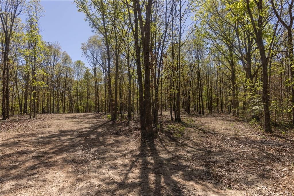 27064 Hickory Tree Lane — photo 30
