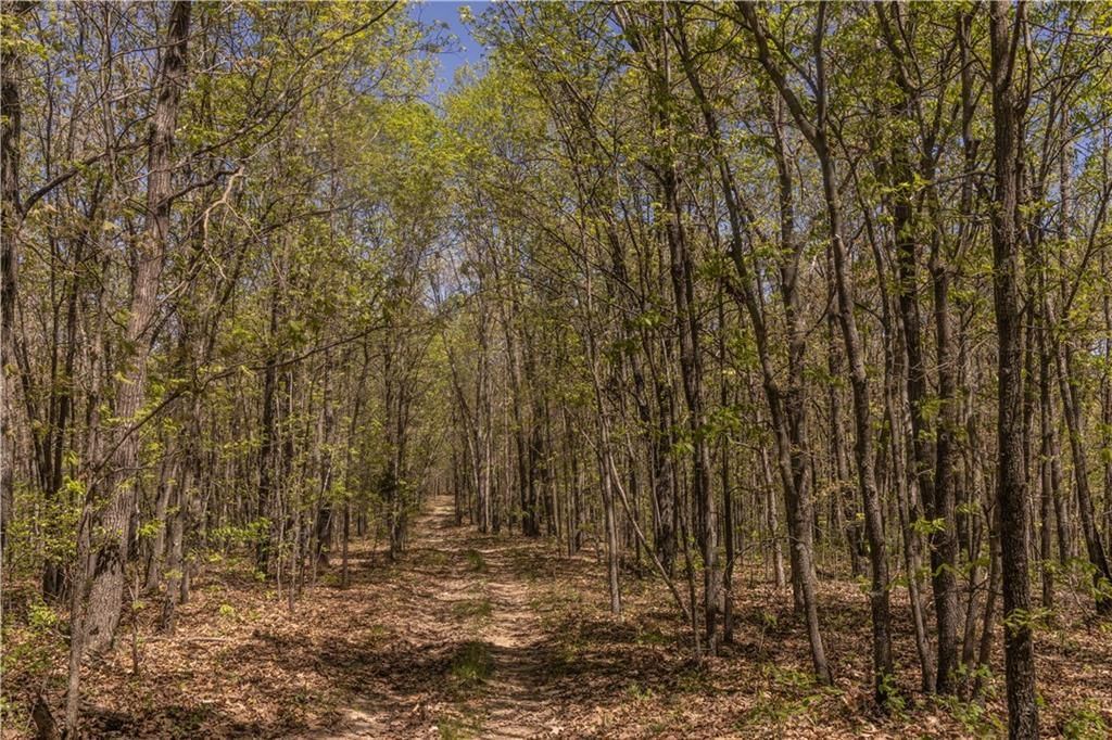 27064 Hickory Tree Lane — photo 31