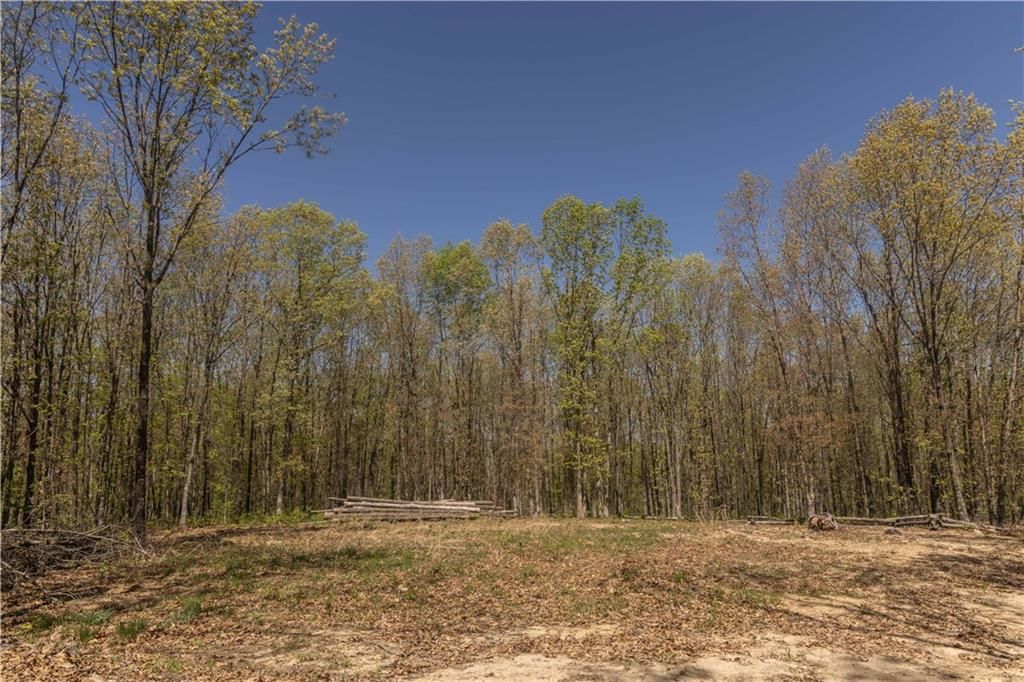27064 Hickory Tree Lane — photo 33