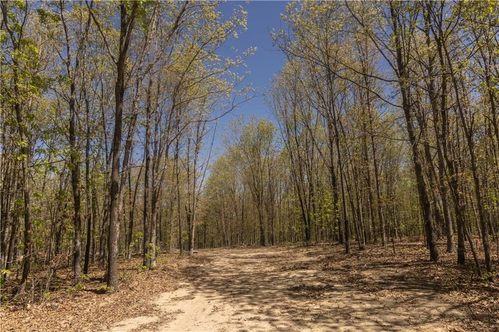 27064 Hickory Tree Lane — photo 34