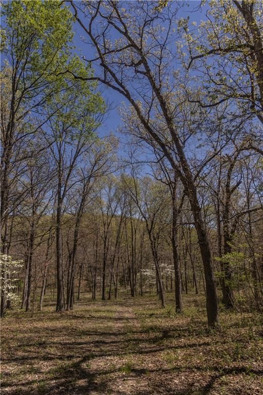 27064 Hickory Tree Lane — photo 35