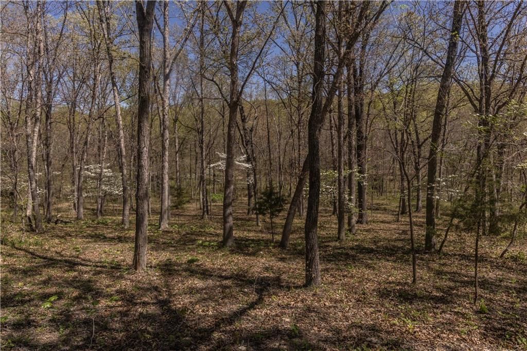 27064 Hickory Tree Lane — photo 36