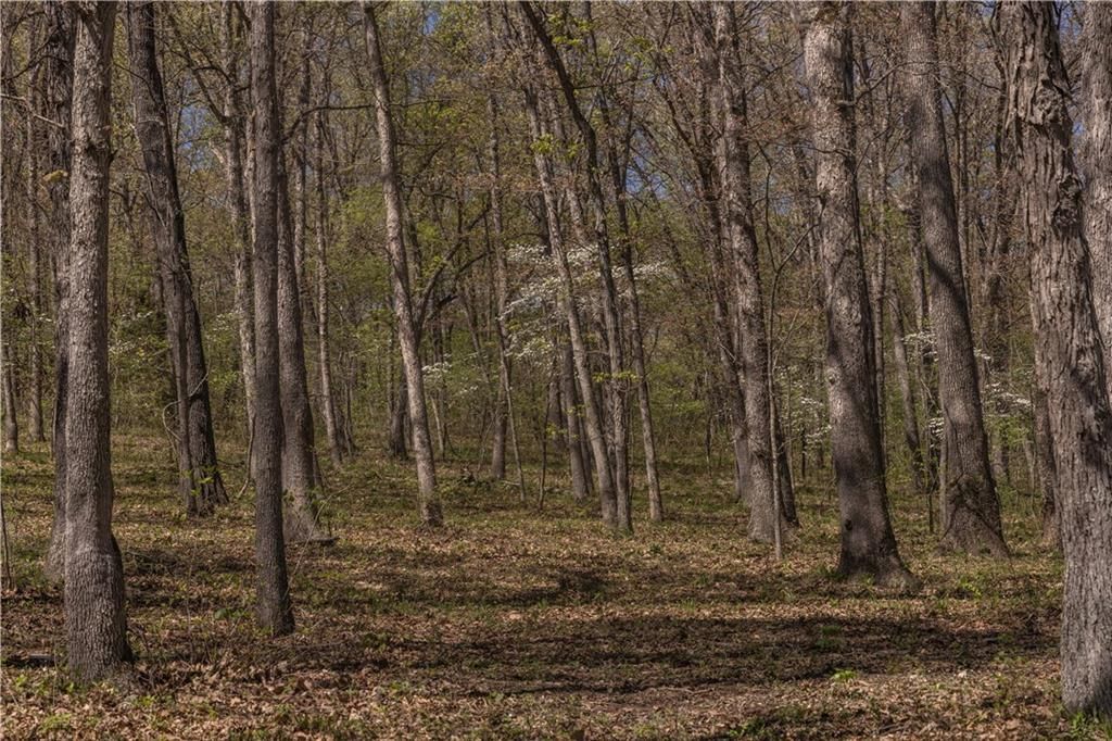 27064 Hickory Tree Lane — photo 37