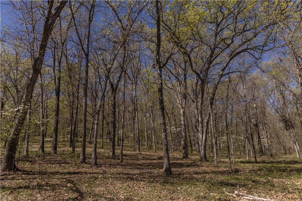 27064 Hickory Tree Lane — photo 38