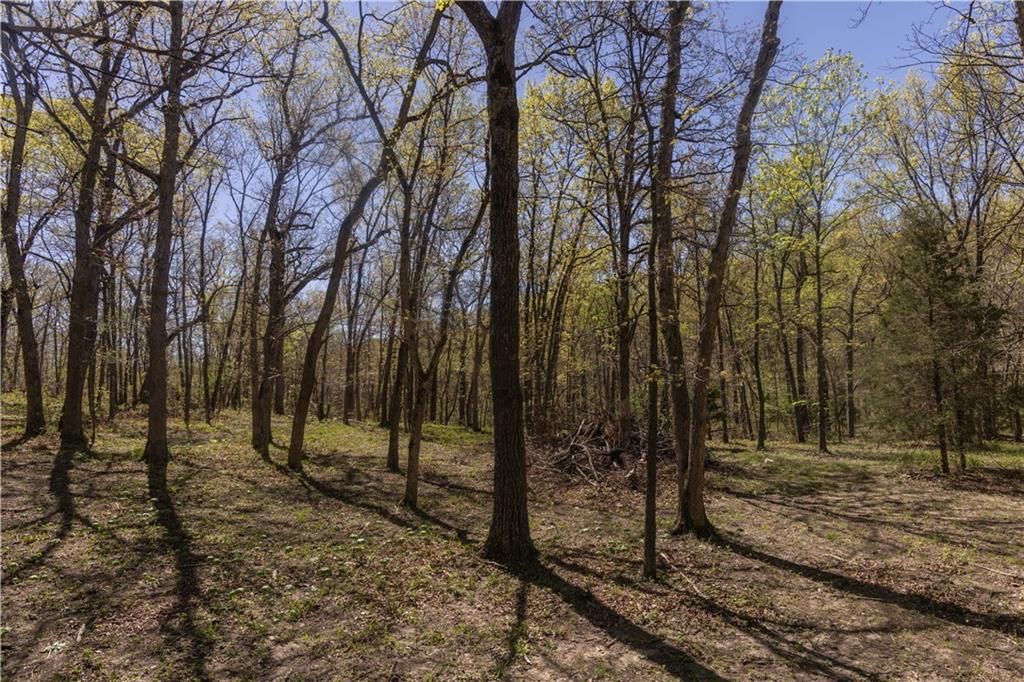27064 Hickory Tree Lane — photo 45