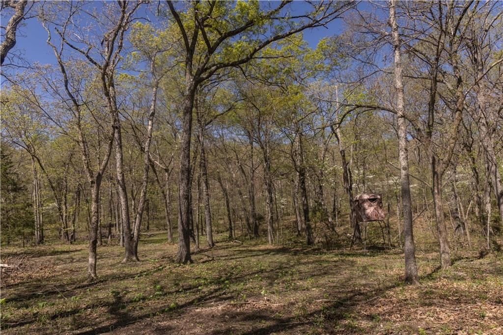 27064 Hickory Tree Lane — photo 46