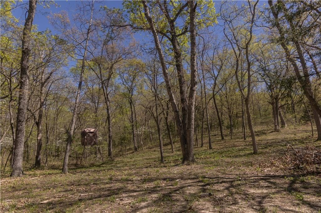 27064 Hickory Tree Lane — photo 48