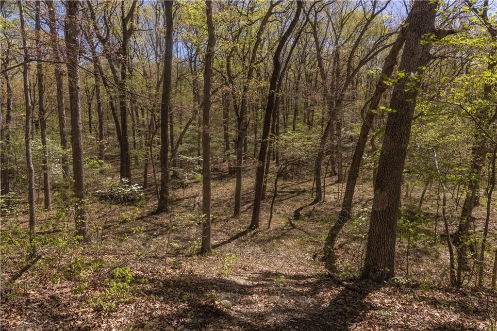 27064 Hickory Tree Lane — photo 49