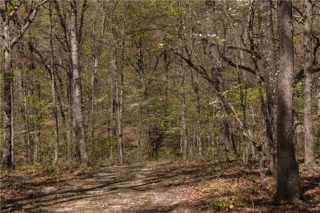 27064 Hickory Tree Lane — photo 50