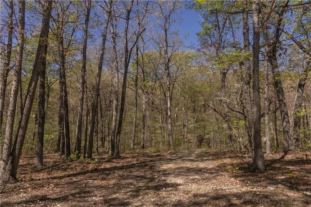 27064 Hickory Tree Lane — photo 51