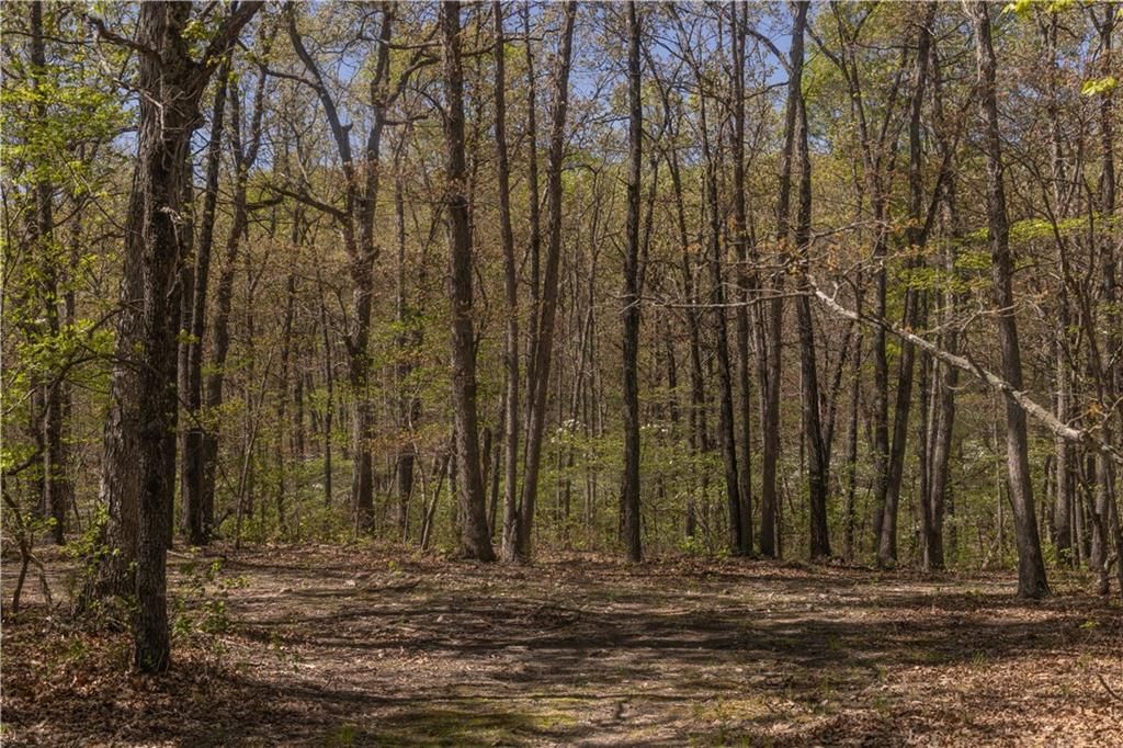 27064 Hickory Tree Lane — photo 52
