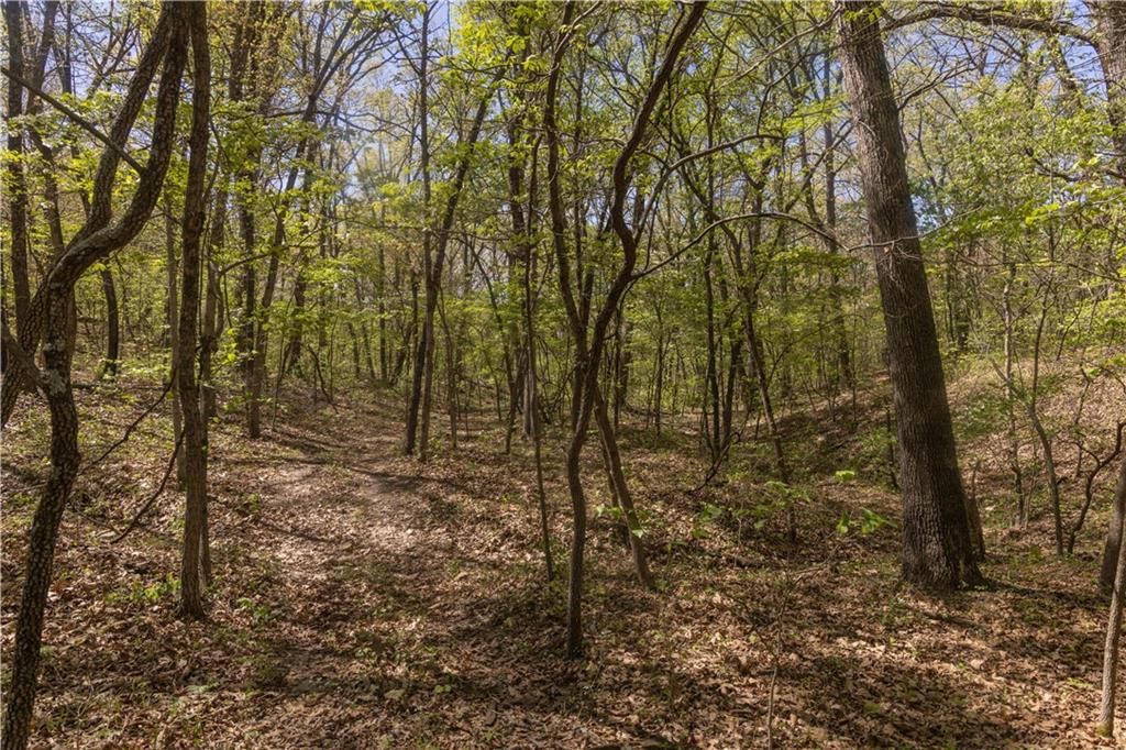27064 Hickory Tree Lane — photo 53