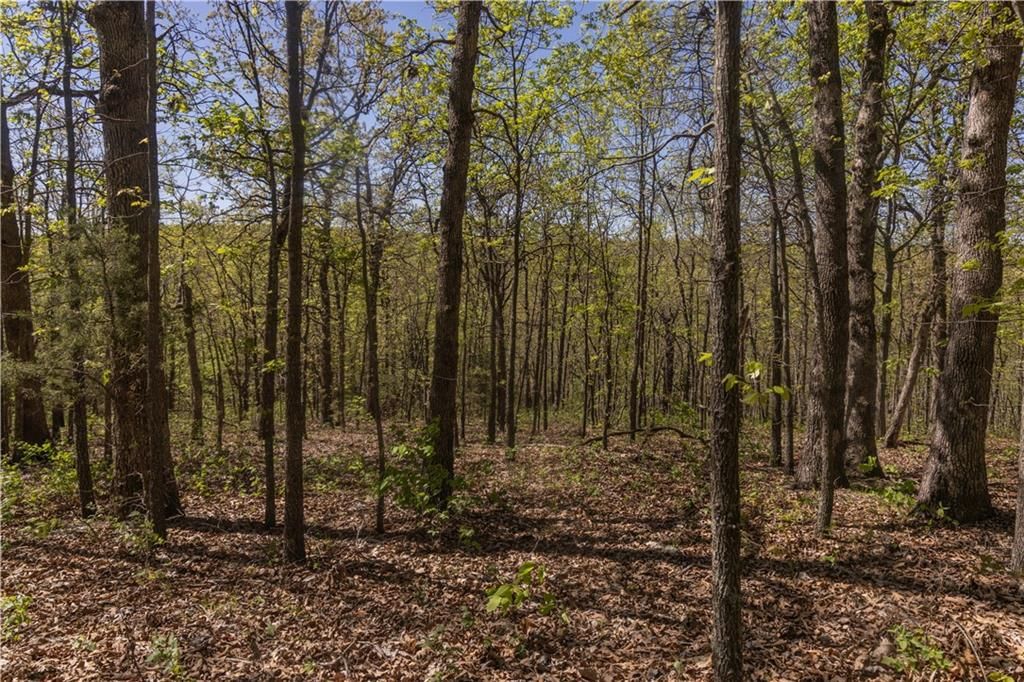 27064 Hickory Tree Lane — photo 54