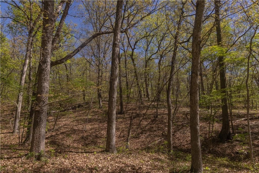 27064 Hickory Tree Lane — photo 55