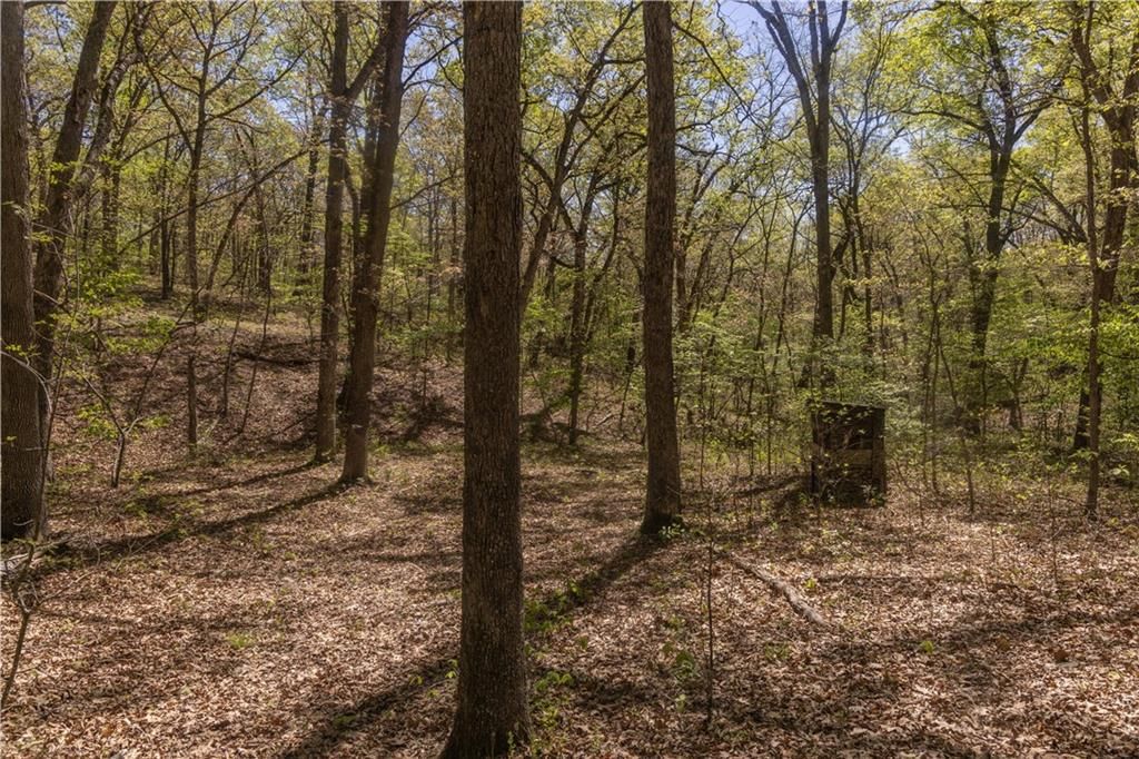 27064 Hickory Tree Lane — photo 56