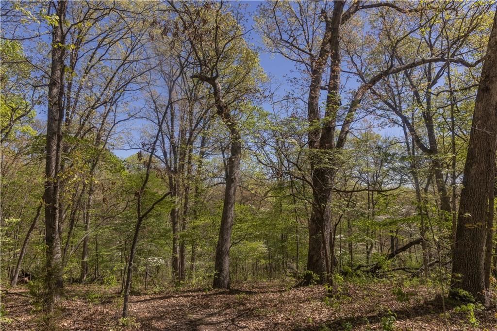 27064 Hickory Tree Lane — photo 58