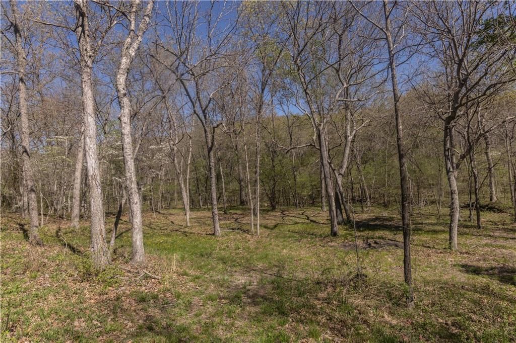27064 Hickory Tree Lane — photo 64