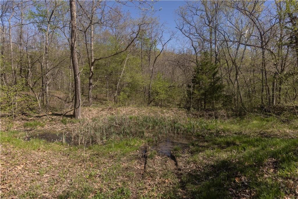 27064 Hickory Tree Lane — photo 65