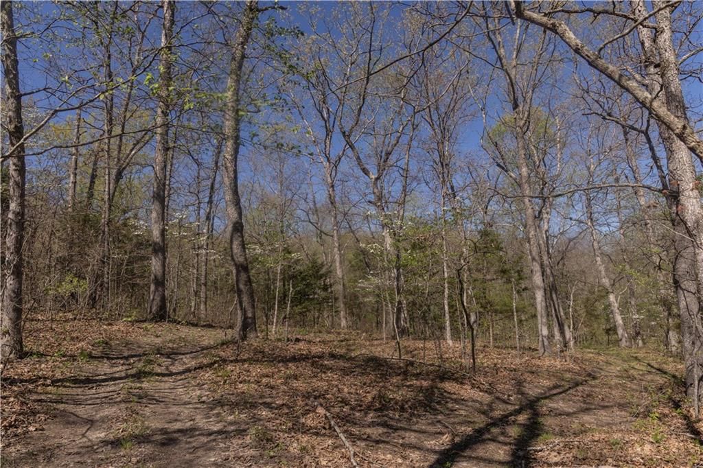 27064 Hickory Tree Lane — photo 66